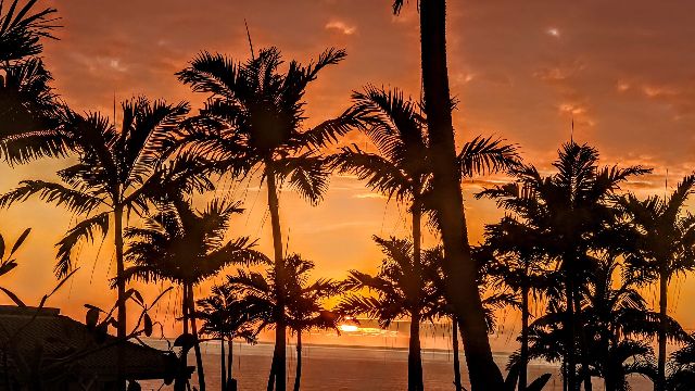 Serviced talk with image